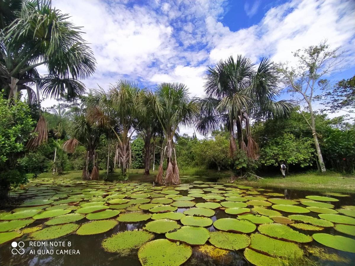 Jacamar Lodge Expeditions Iquitos Exterior photo