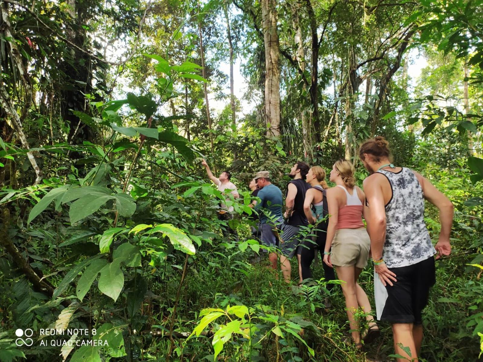 Jacamar Lodge Expeditions Iquitos Exterior photo